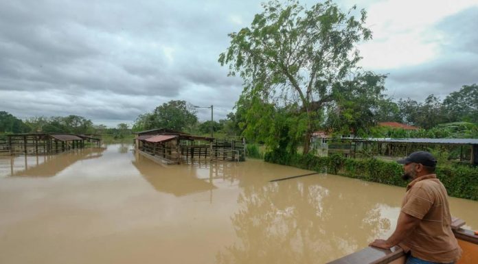 Flood: Cleaning the house twice in 24 hours