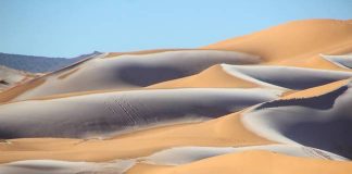 Gurun Sahara dilitupi salji, bakal kembali hijau