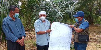 Keluasan hutan di Kelantan lebih 51 peratus