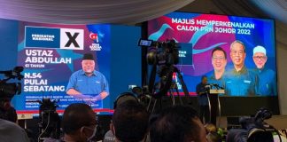 PRN Johor: Senarai calon Perikatan Nasional