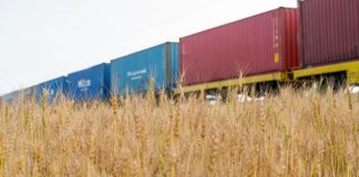 Mesir beli gandum dari Rusia, Ukraine