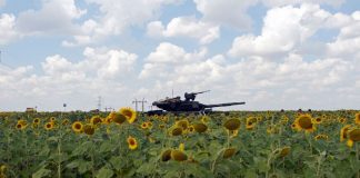 Susulan krisis Ukraine: Harga minyak sawit jadi paling mahal