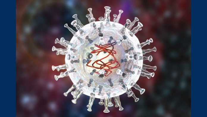 09042022swinevirus