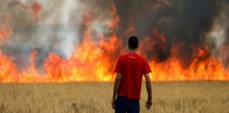 Eropah ‘dibakar’ suhu tinggi melampau: UK catat 40 Celcius