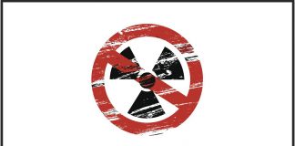 Pakistan, Maldives and OIC denounce Israeli nuclear bomb threat