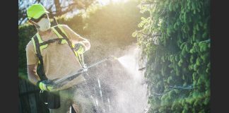 UN expert warns about excessive pesticide use in Paraguay