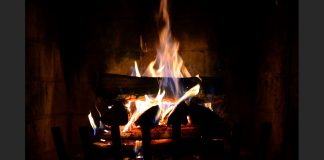 Germans turning to wood to heat their homes