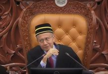 `Saya tidak boleh melangkaui kuasa PM’
