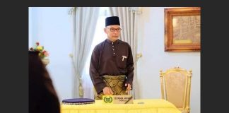 Perlis MB announces portfolios for six executive council members