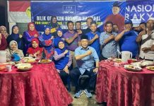 Kehadiran Shahidan beri peluang cerah PN di Arau