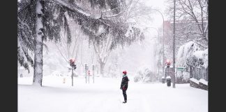 ‘Once-in-a-generation’ snowstorm kills 17 in US – Report