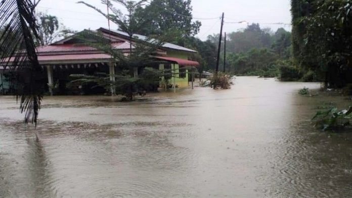 nyiur