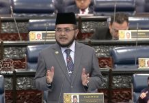 Masalah luar negara, kempen dalam negara