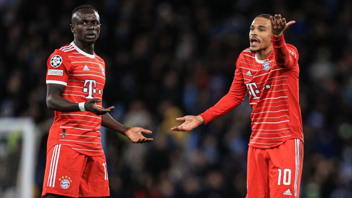 Sane Mane