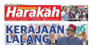 Kerajaan lalang