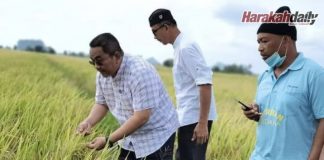 Awat Kedah masih miskin?