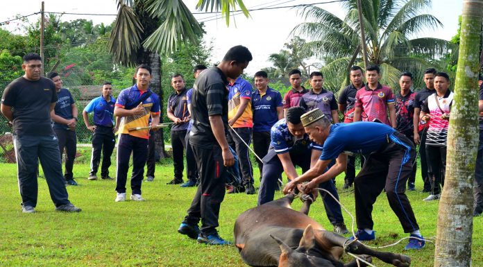 Korban bukan sekadar ibadah di bulan Zulhijjah