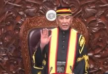 Wan Junaidi dilantik YDP Dewan Negara