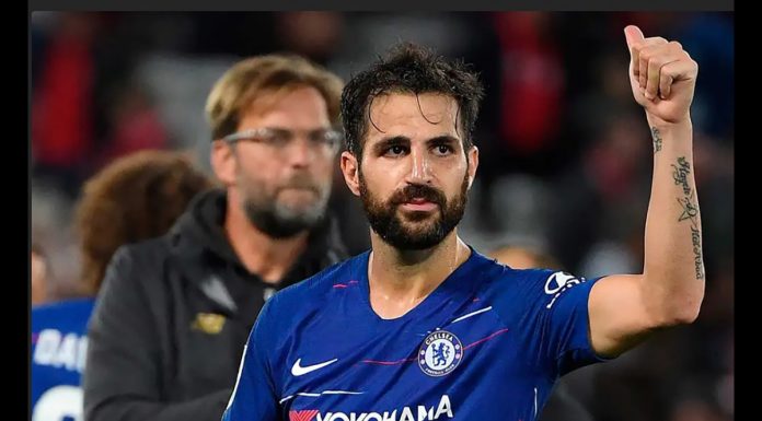 Former World Cup winner Fabregas announces retirement