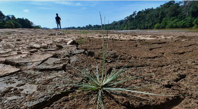 El Nino expected to peak end of 2023 until early 2024 – MetMalaysia