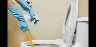 Create syllabus for educating pupils on toilet care – Academicians