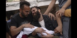 Employment termination over support for Gaza ceasefire sparks controversy