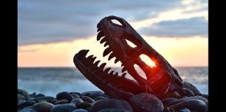Dinosaurs likely brought down by dust, not asteroid – Researchers