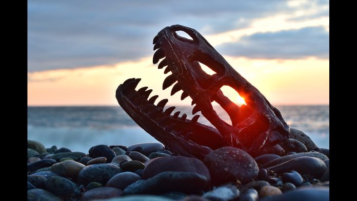 31102023dinosaur
