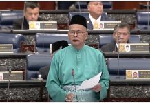 Kerajaan Madani jangan jadi kerajaan cicak