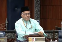 Pasir Salak berpotensi muncul jelapang padi utama