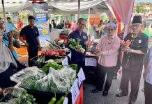 Kelantan sasar sejuta stok ikan, udang galah