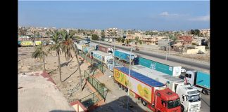 More aid trucks enter Northern Gaza – UN