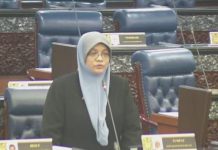 Tenaga lebih mesra alam: Apa persediaan kerajaan?