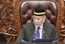 ‘(Taraf) Rendah sangat ke Dewan Negara…?’