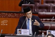 Cara kerajaan nilai golongan mohon kewarganegaraan