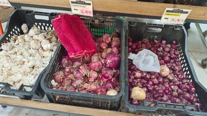 bawang