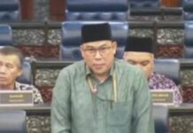 RSPO, MSPO patut dapat tangani boikot sawit