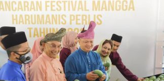 Harumanis – Anugerah untuk Perlis