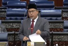 Biojisim kelapa sawit: Manfaat sangat banyak