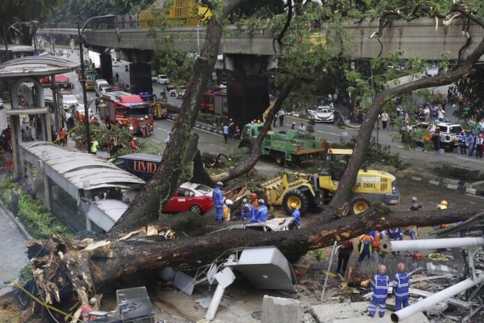 Pokok tumbang KL