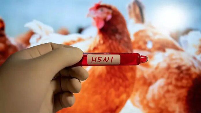 H5N1