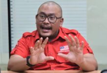 ’30 peratus pemilikan saham boleh pengaruhi MAHB’