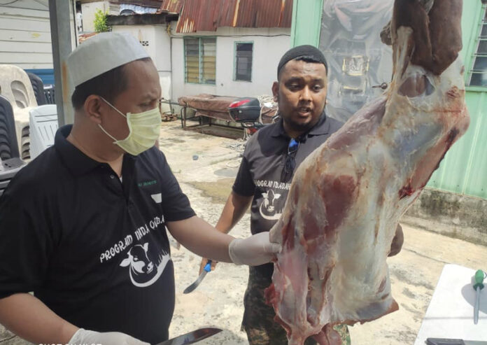 daging korban