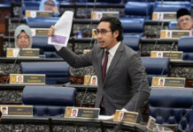 Wan Ahmad Fayhsal ‘hero’ isu MAHB