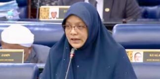 ‘Tidak guna masukkan RUU persendirian tetapi tidak diguna’