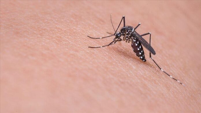 west nile fever'