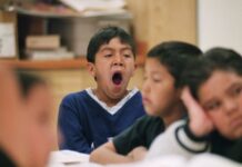 Silibus sekolah kini satu ‘kegilaan’