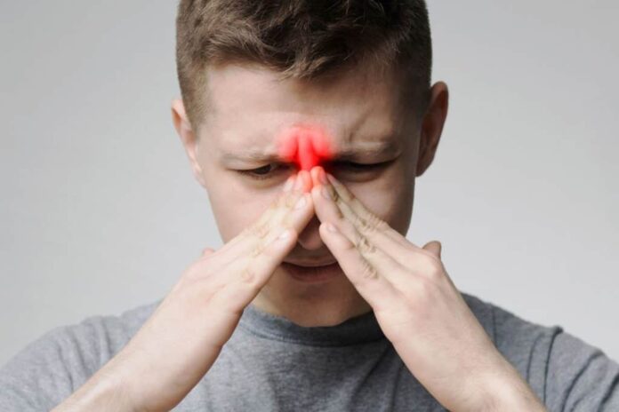 Sinus