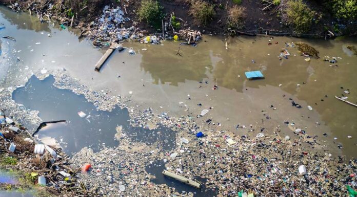 Lindungi Sungai: CAP gesa penguatkuasaan lebih tegas, reformasi dasar