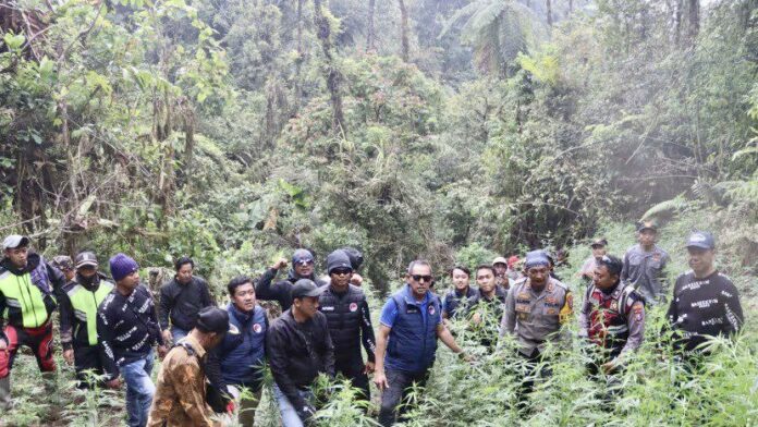 Ganja Indon